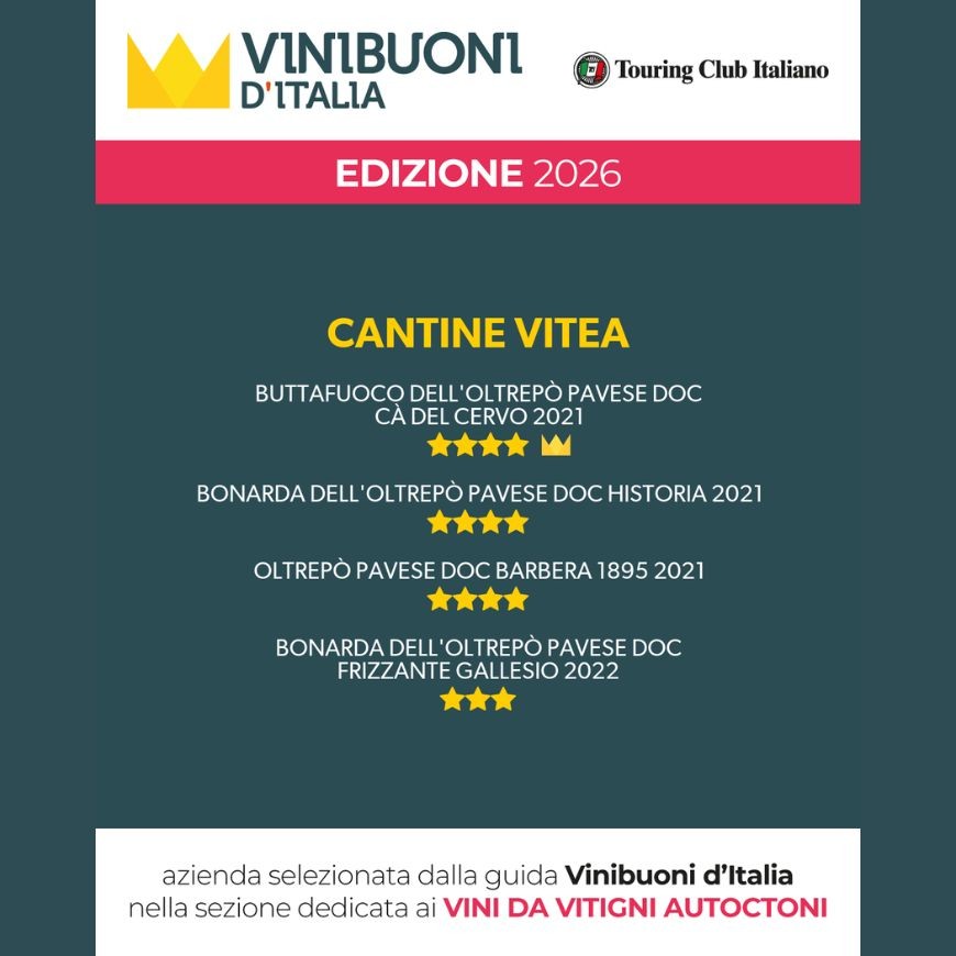 VINIBUONI D'ITALIA 2026