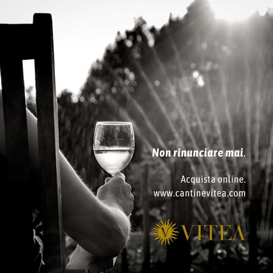 VITEA WINE SHOP, IL NEGOZIO ONLINE