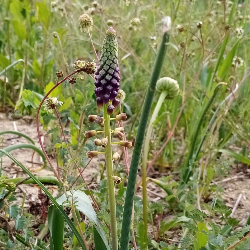 TURISMO LENTO IN OLTREPO PAVESE